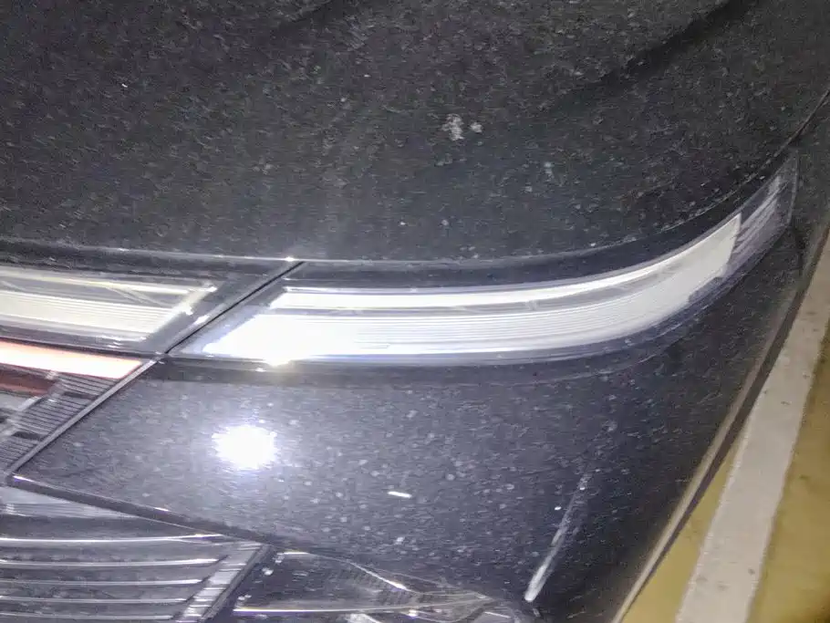 Haval Shenshou — миниатюра 5