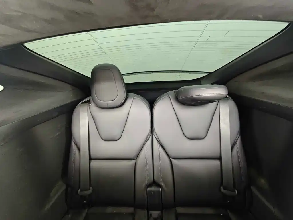 Tesla Model X — миниатюра 18