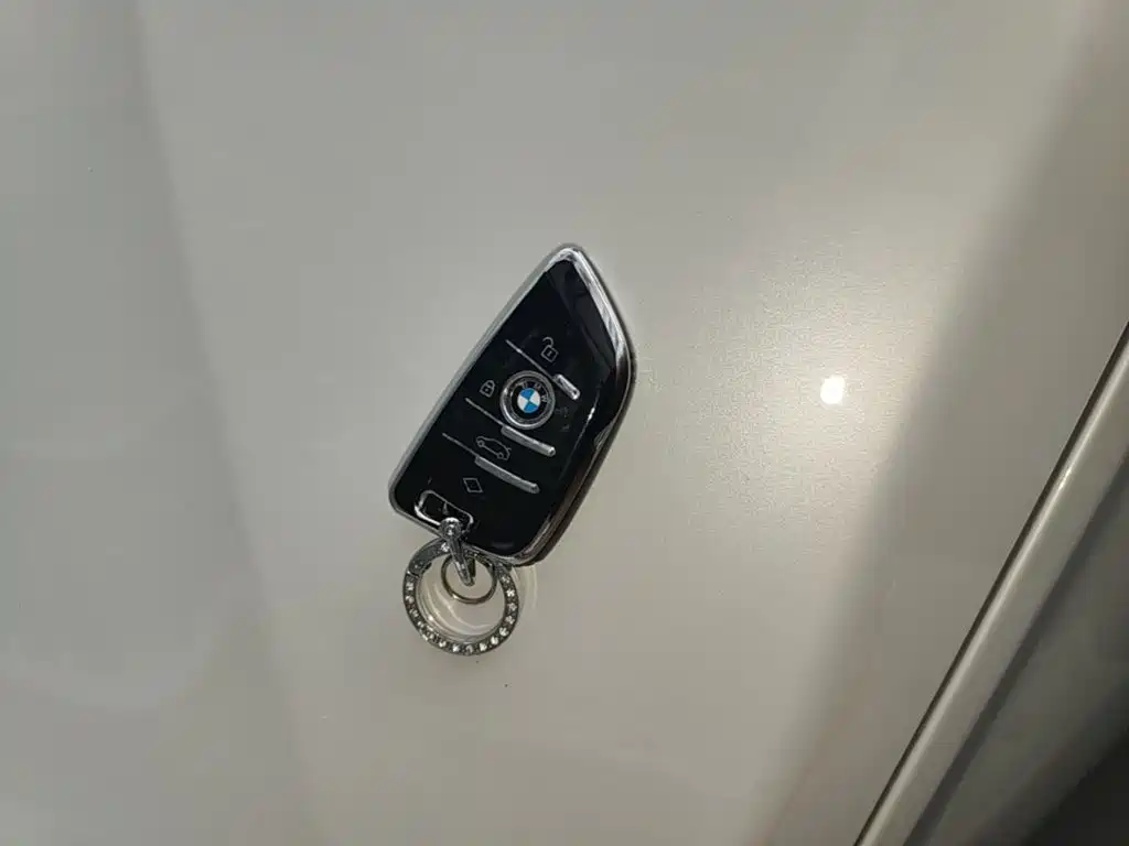 BMW X1 — миниатюра 9