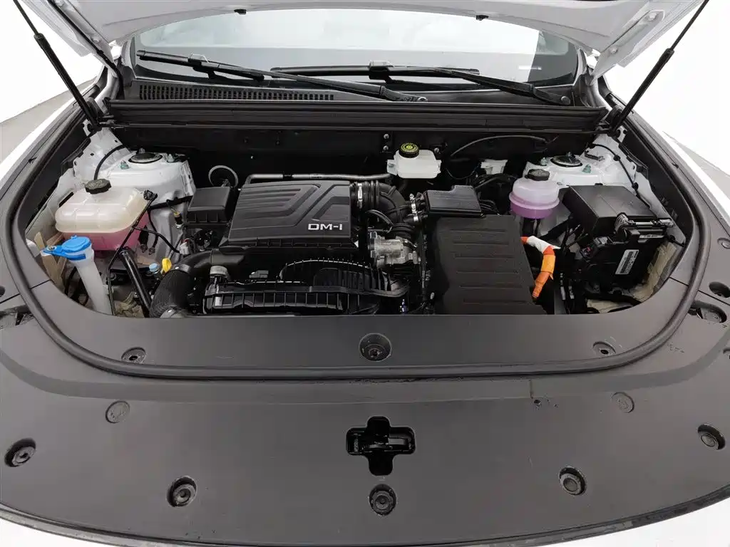 BYD Song Pro Pro 2024 DM-i 71KM