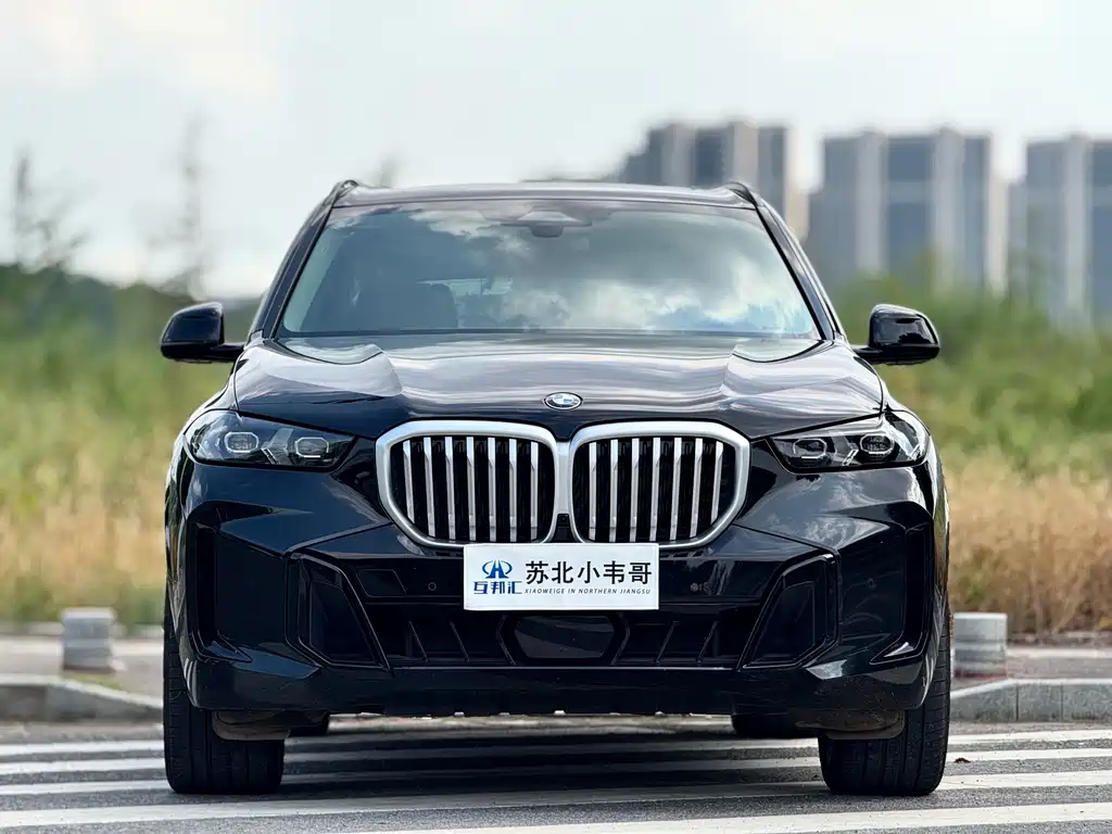BMW X5 — миниатюра 2