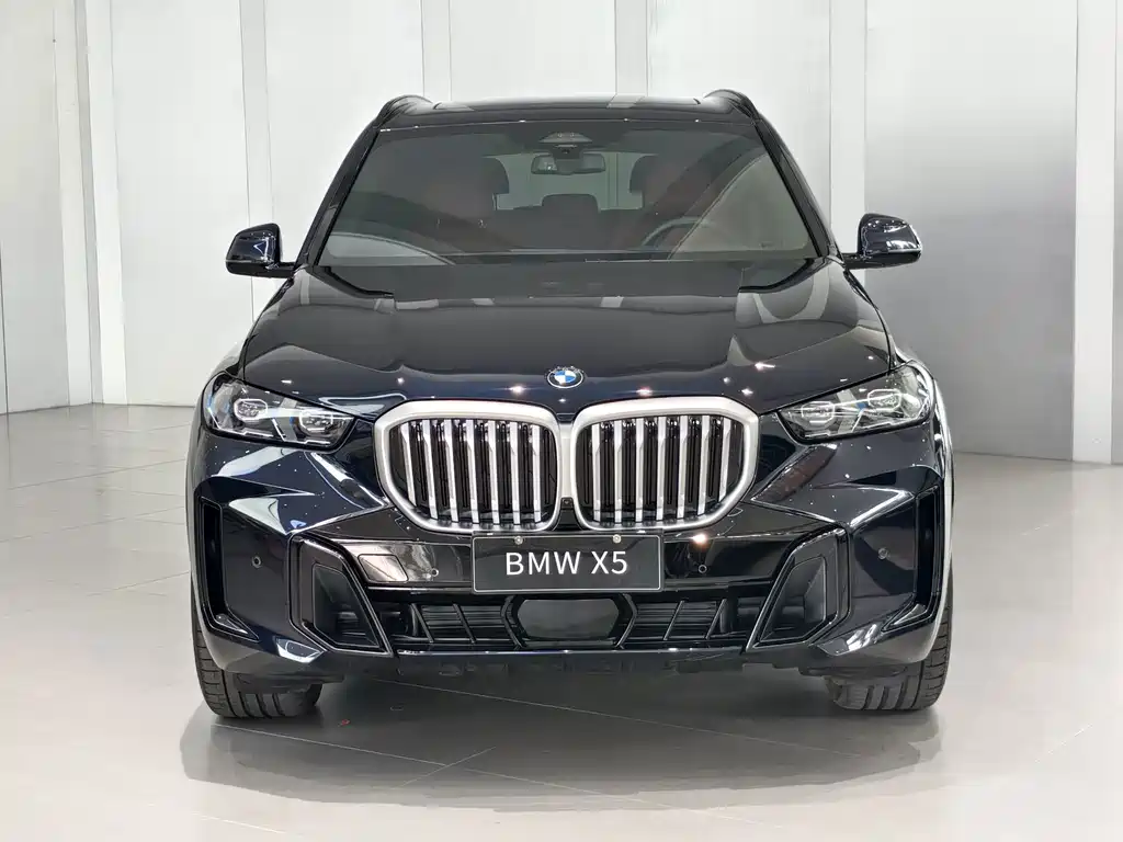 BMW X5 — миниатюра 2
