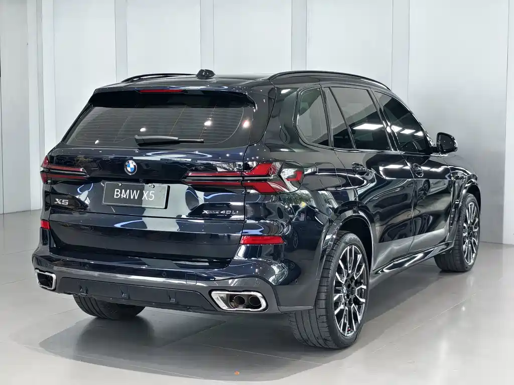 BMW X5 — миниатюра 3