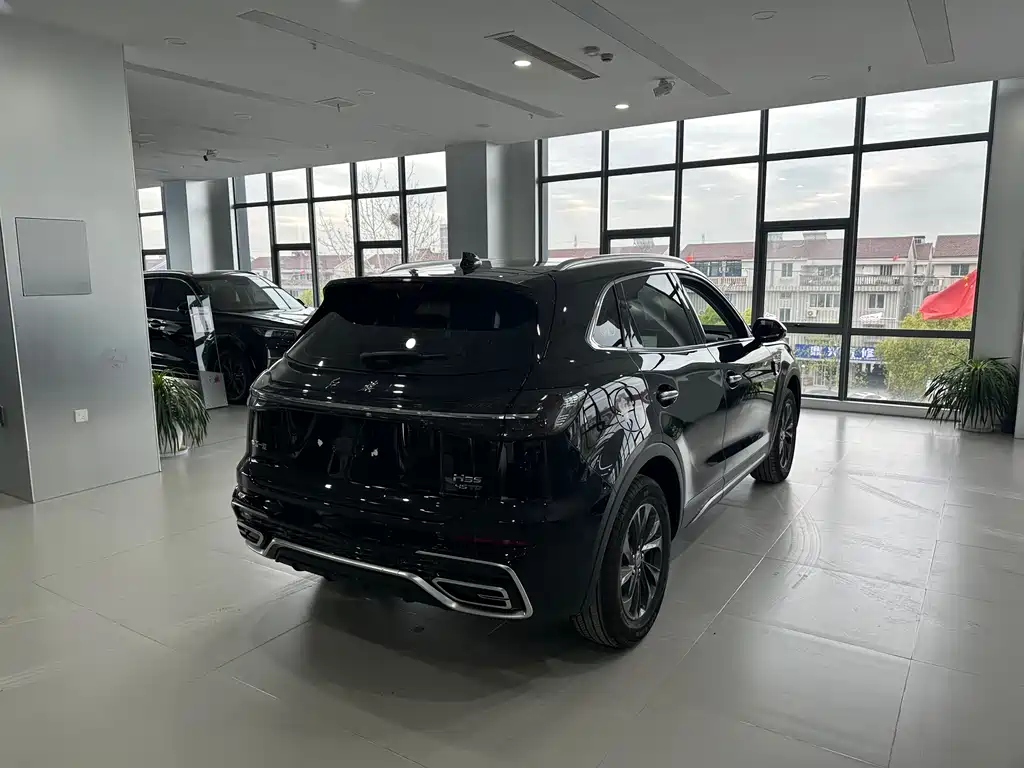 Hongqi HS5 2025 2.0T 60