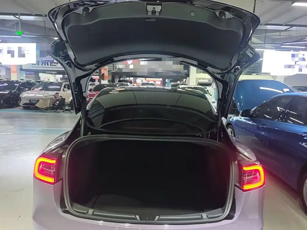 Tesla Model 3 — миниатюра 19
