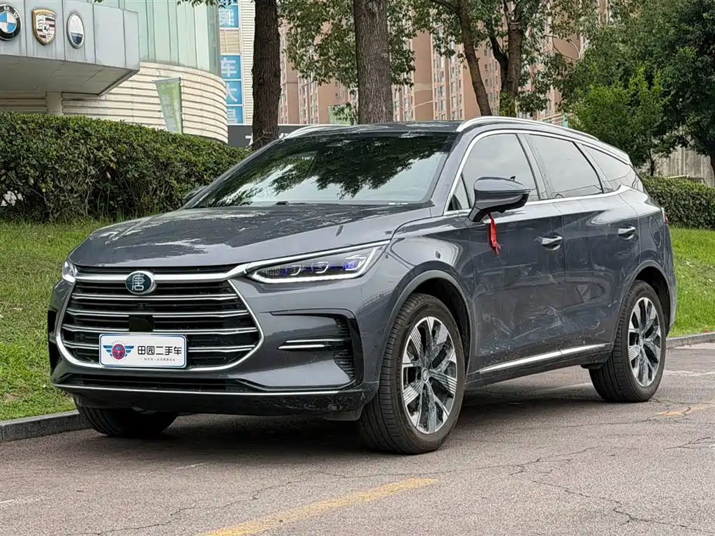 2023 BYD Tang - zdjęcie 1 z 11