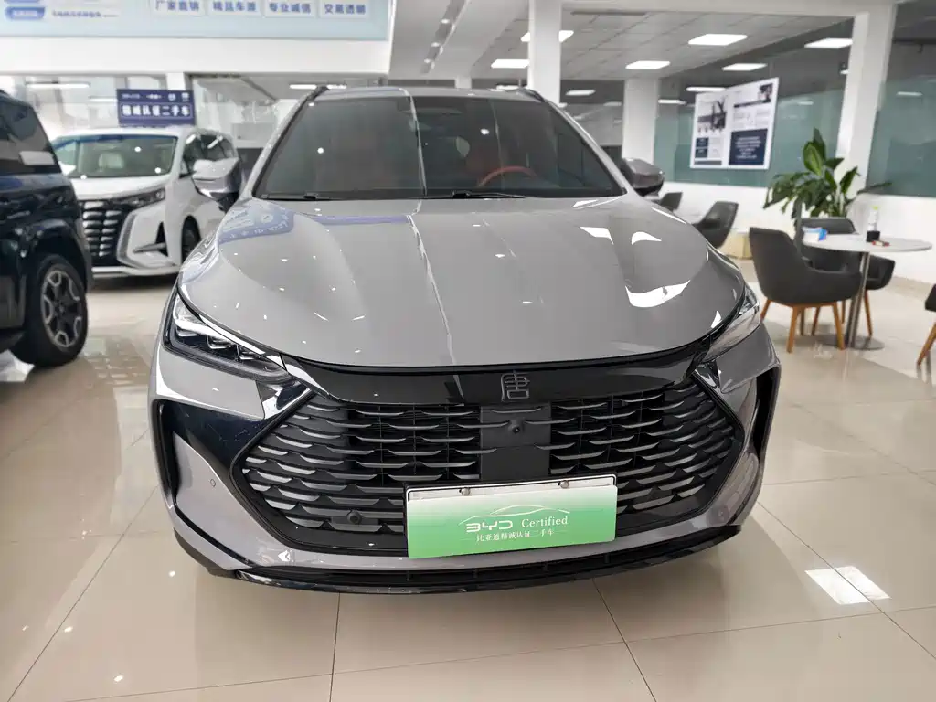 BYD Tang New Energy — миниатюра 2