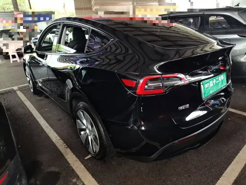 Tesla Model Y — миниатюра 5