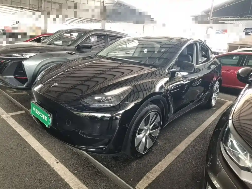 Tesla Model Y — миниатюра 2