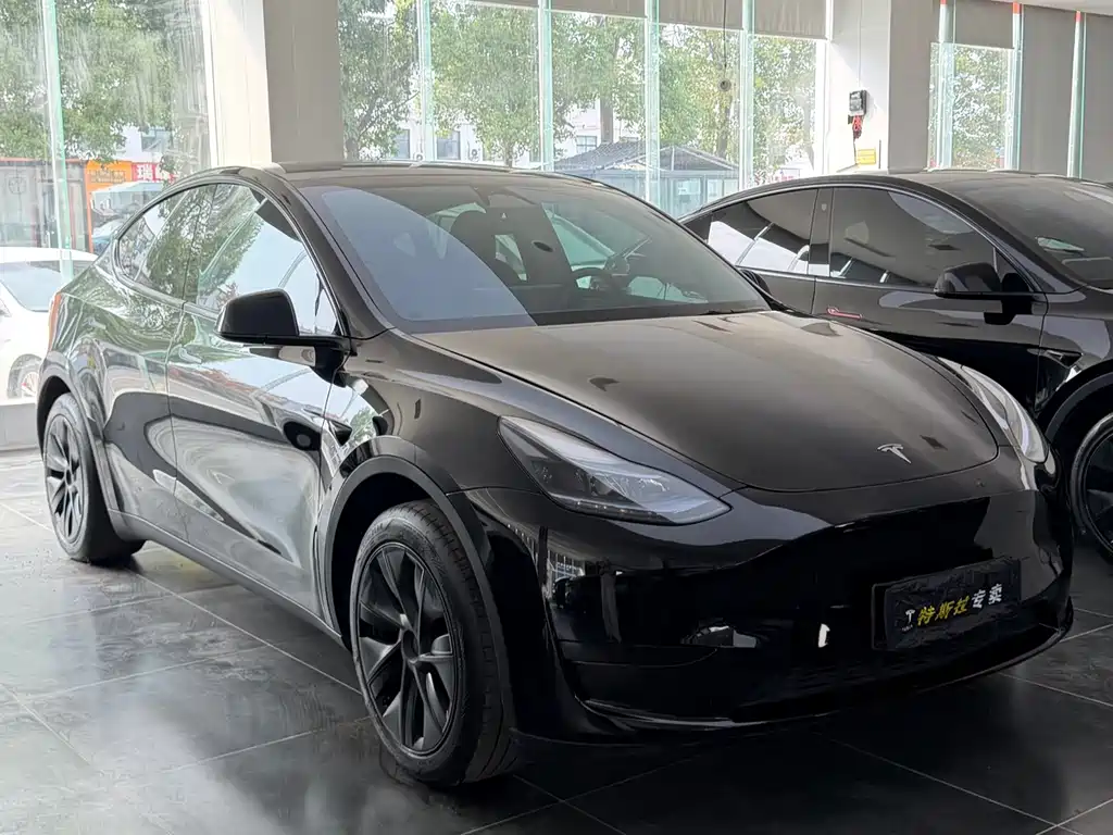 Tesla Model Y — миниатюра 3
