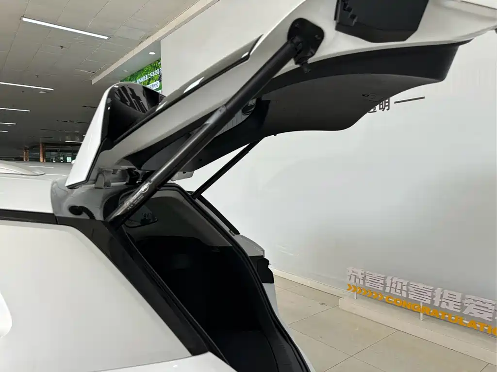 BYD Pro New Energy — миниатюра 9