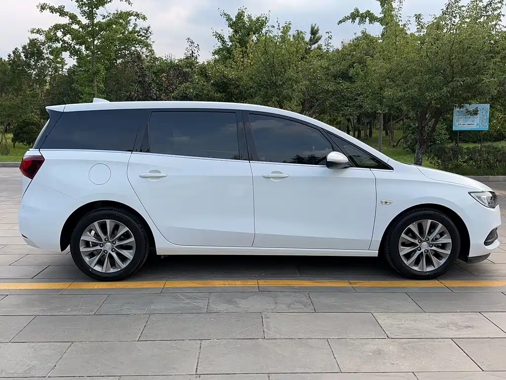 Buick GL6 2019 18T 6 мест Luxury VI