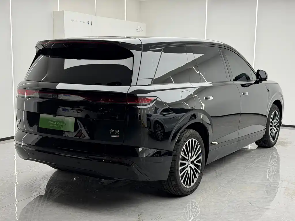 BYD Datang — миниатюра 3
