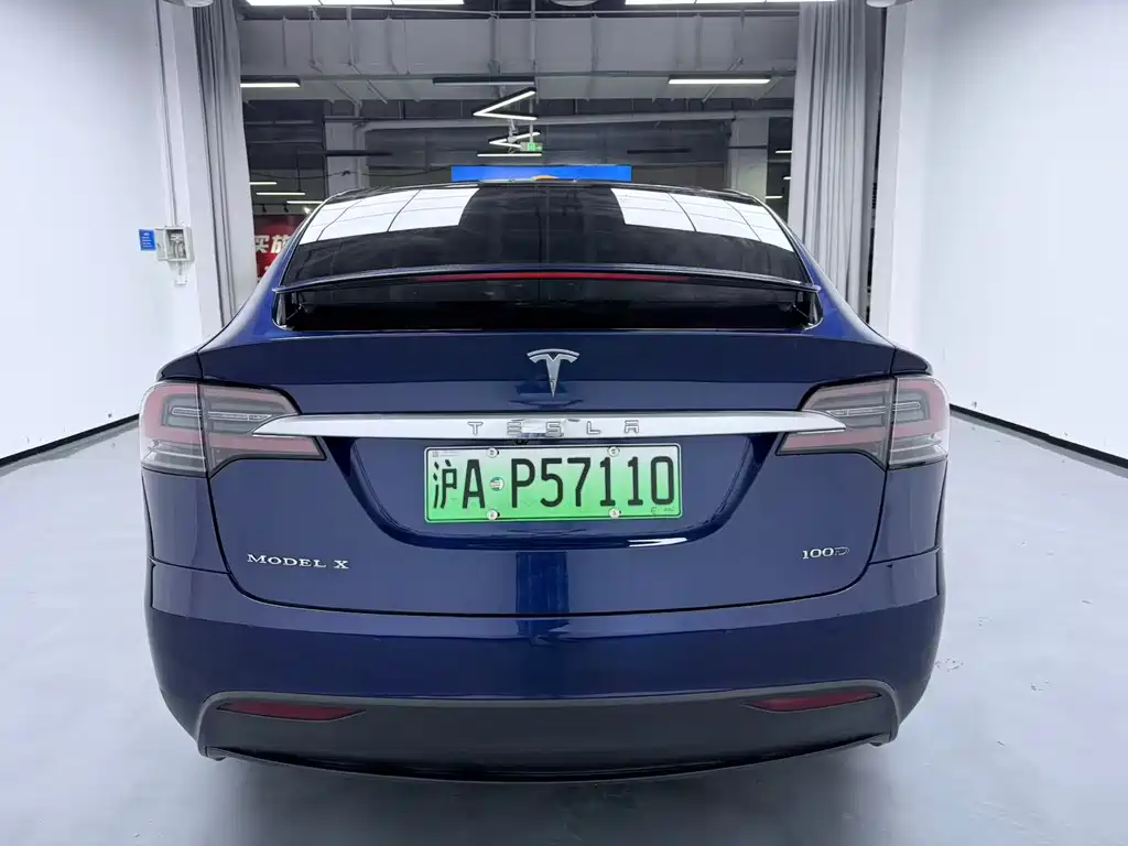 Tesla Model X — миниатюра 10