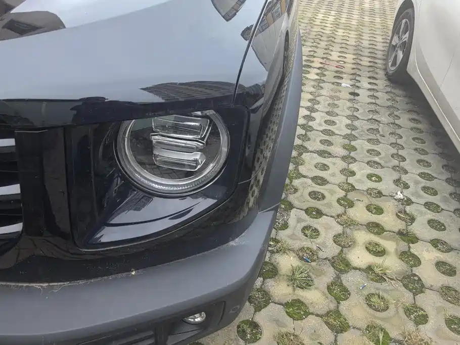 Haval Big Dog — миниатюра 5