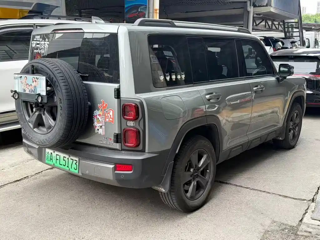 Haval Menglong New Energy — миниатюра 9