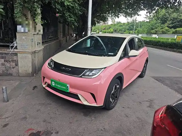 2021 BYD Dolphin