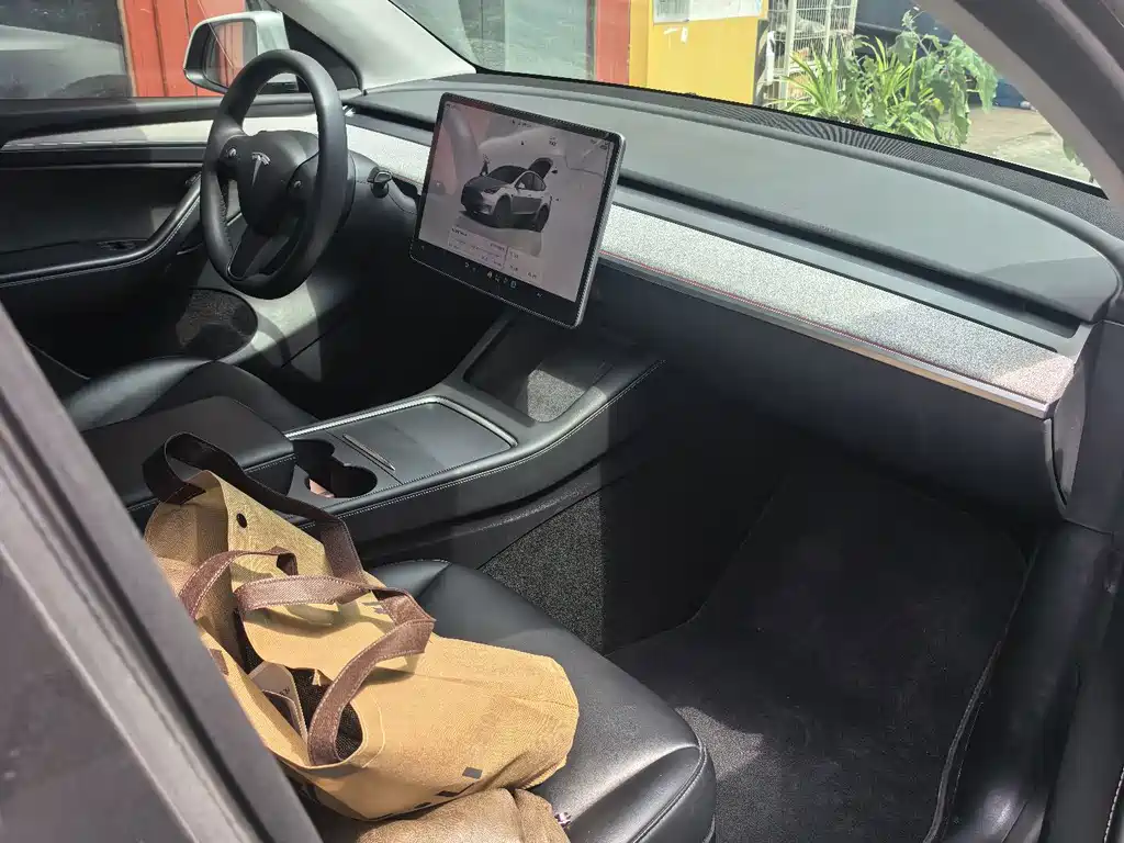 Tesla Model Y — миниатюра 8