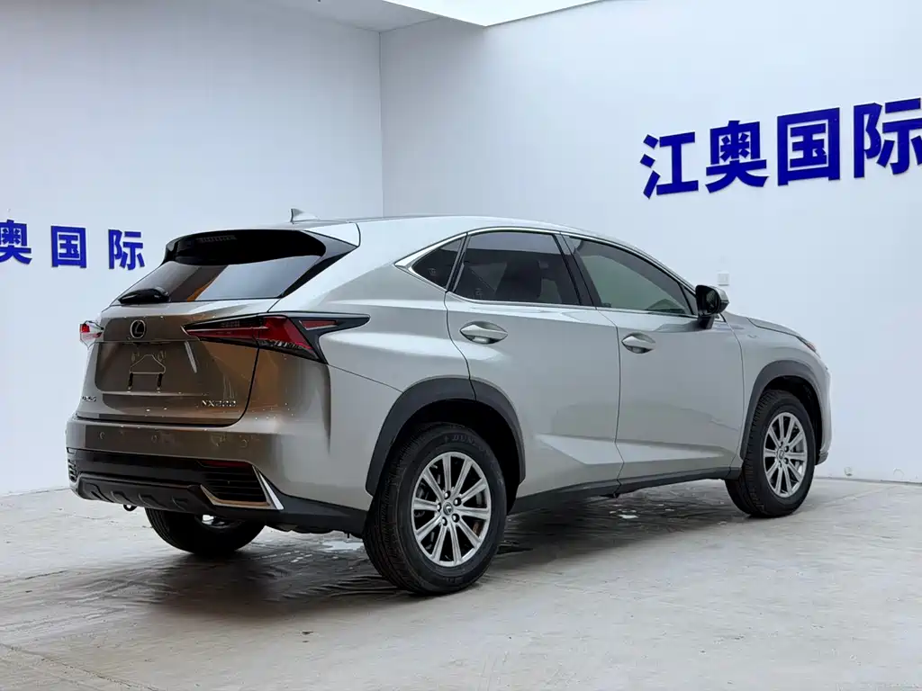 Lexus NX — миниатюра 19