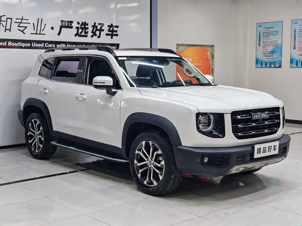 HAVAL BIG DOG