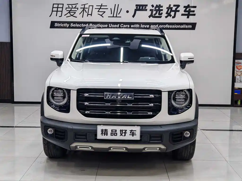 HAVAL BIG DOG