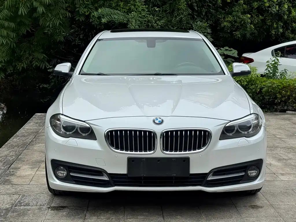 BMW 5 Series — миниатюра 2