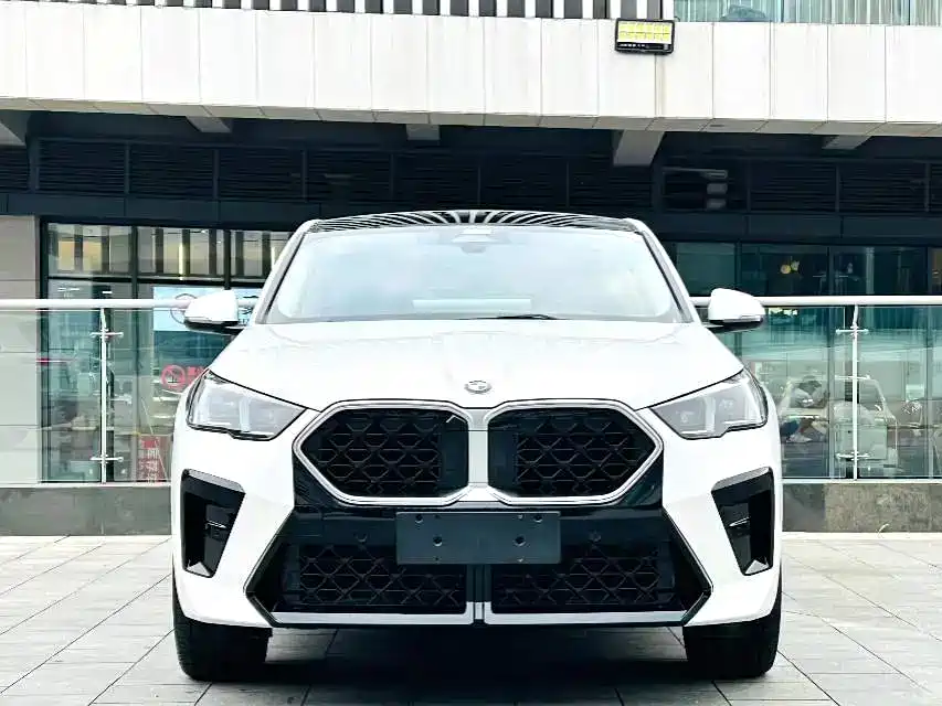 BMW X2 (Import) — миниатюра 2