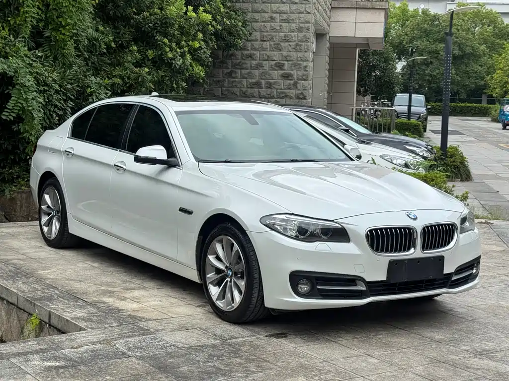 BMW 5 Series — миниатюра 3