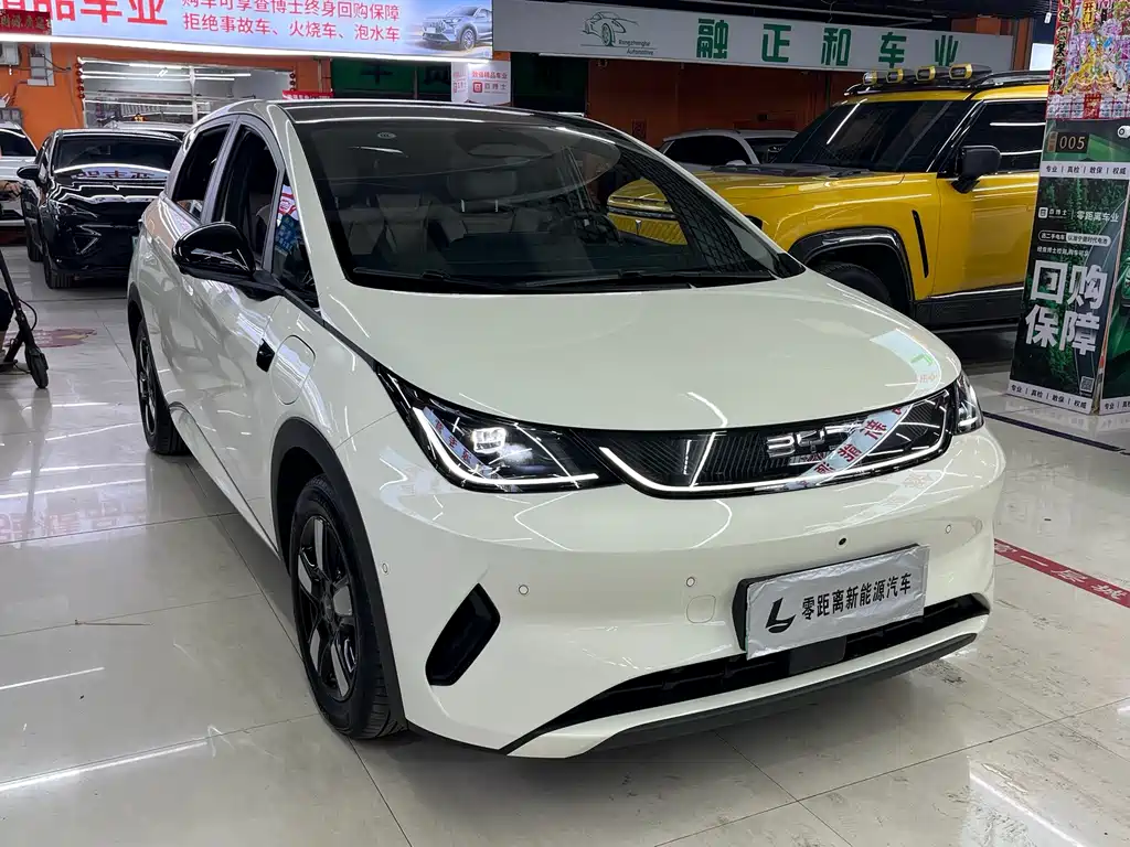 BYD Dolphin — миниатюра 3