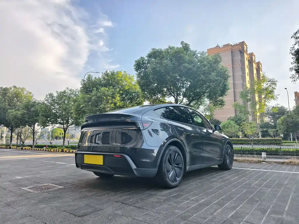 Tesla Model Y — миниатюра 15