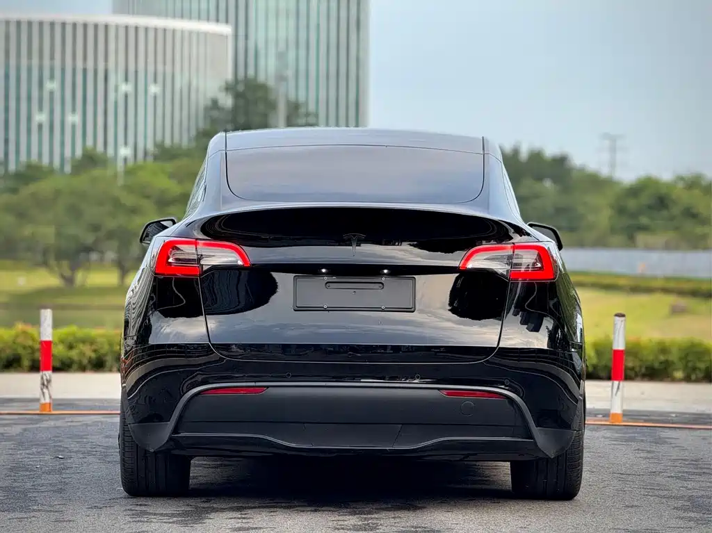 Tesla Model Y — миниатюра 13