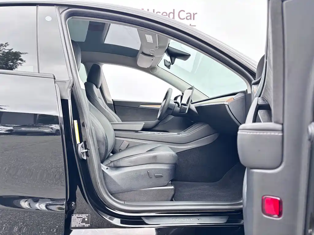 Tesla Model Y — миниатюра 9