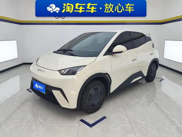 BYD Seagull