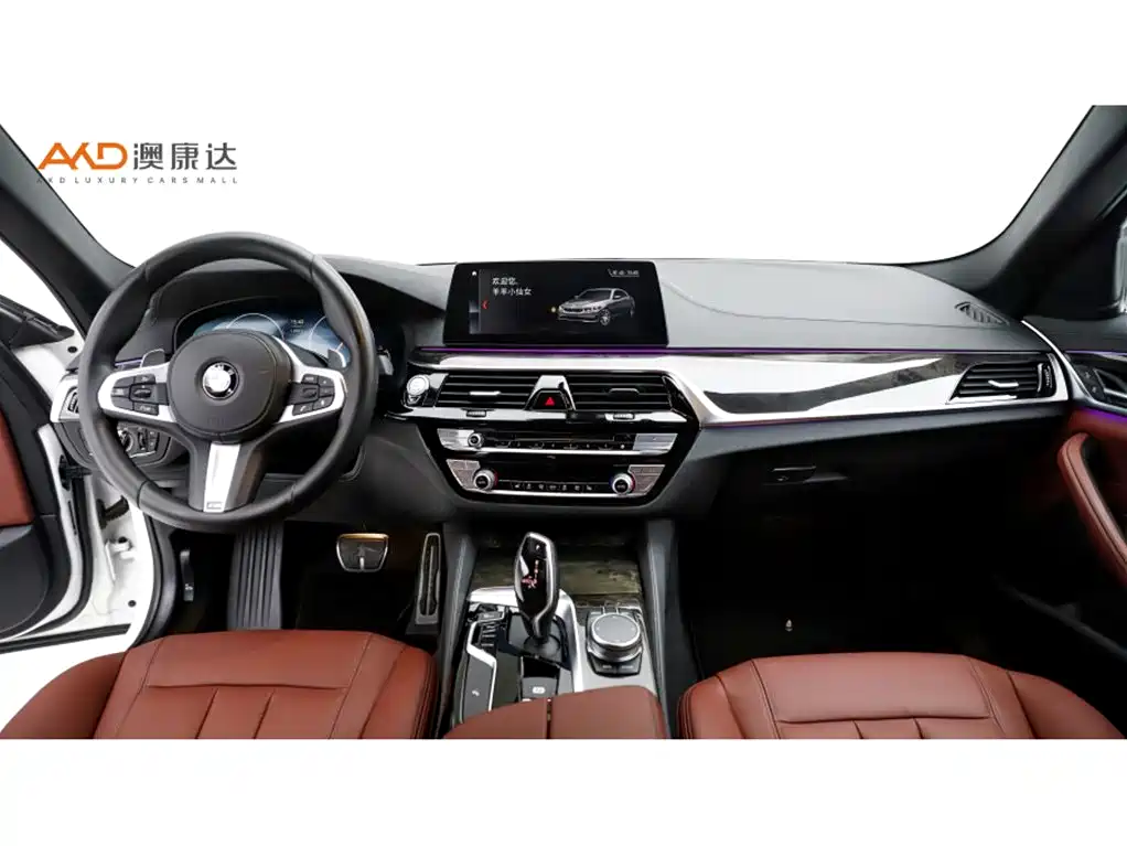 BMW 5 Series 5 2019 530Li Lead M Sport