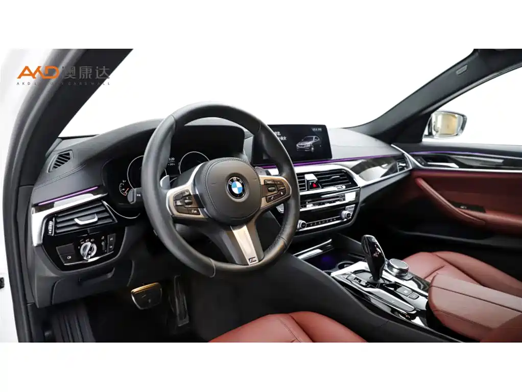 BMW 5 Series 5 2019 530Li Lead M Sport