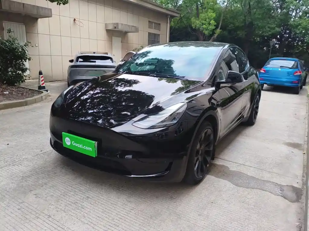 Tesla Model Y — миниатюра 2