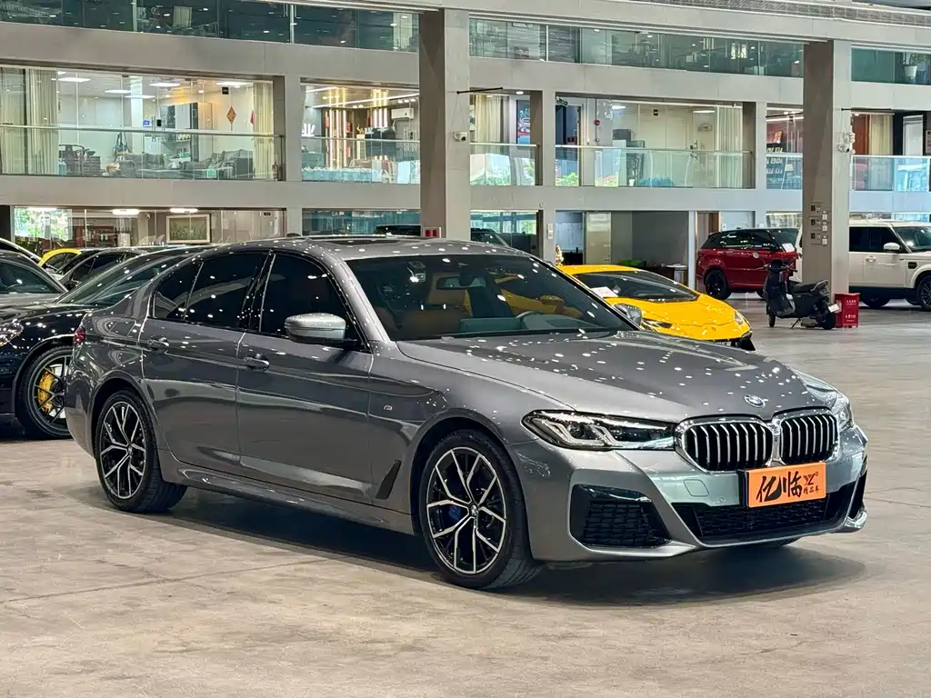 BMW 5 Series (Import) — миниатюра 3