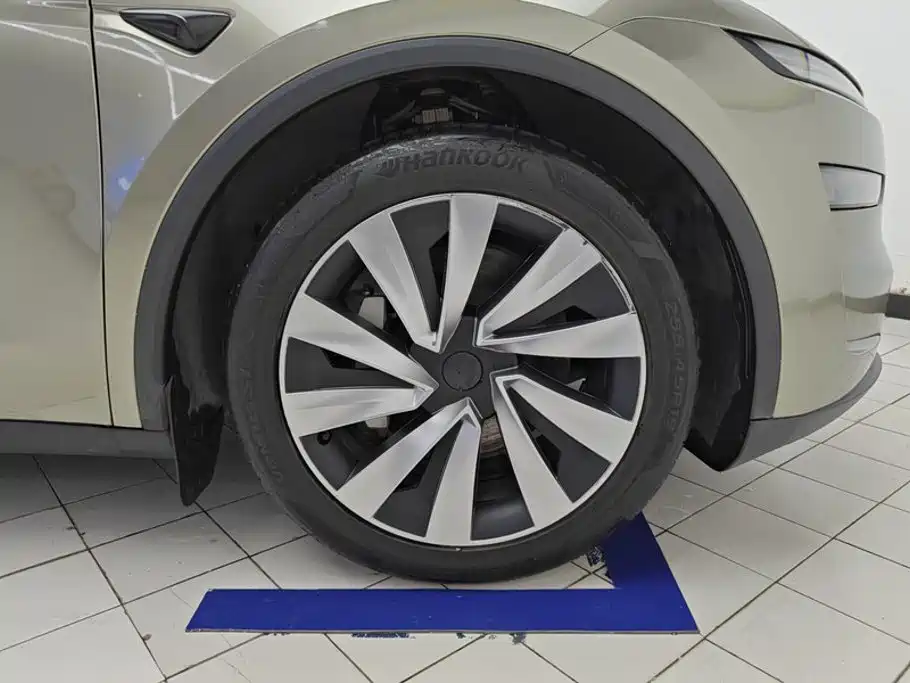 Tesla Model Y — миниатюра 6