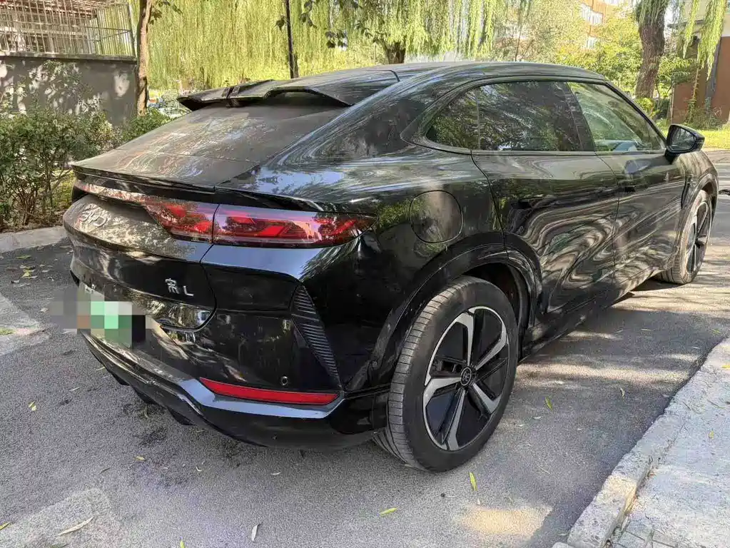 BYD L EV — миниатюра 2