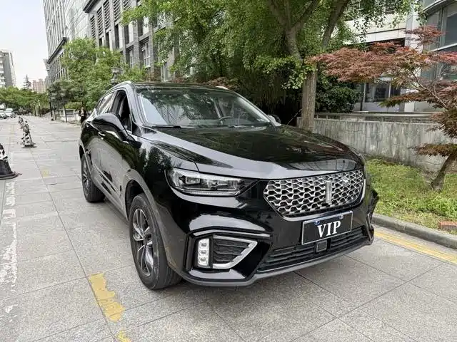 WEI PAI WEI BRAND VV5