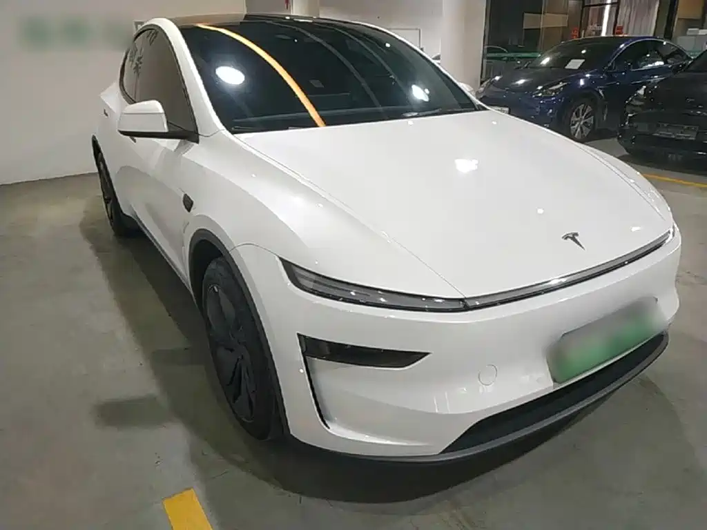 Tesla Model Y — миниатюра 22