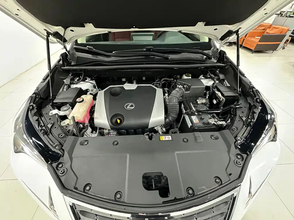 Lexus NX — миниатюра 20