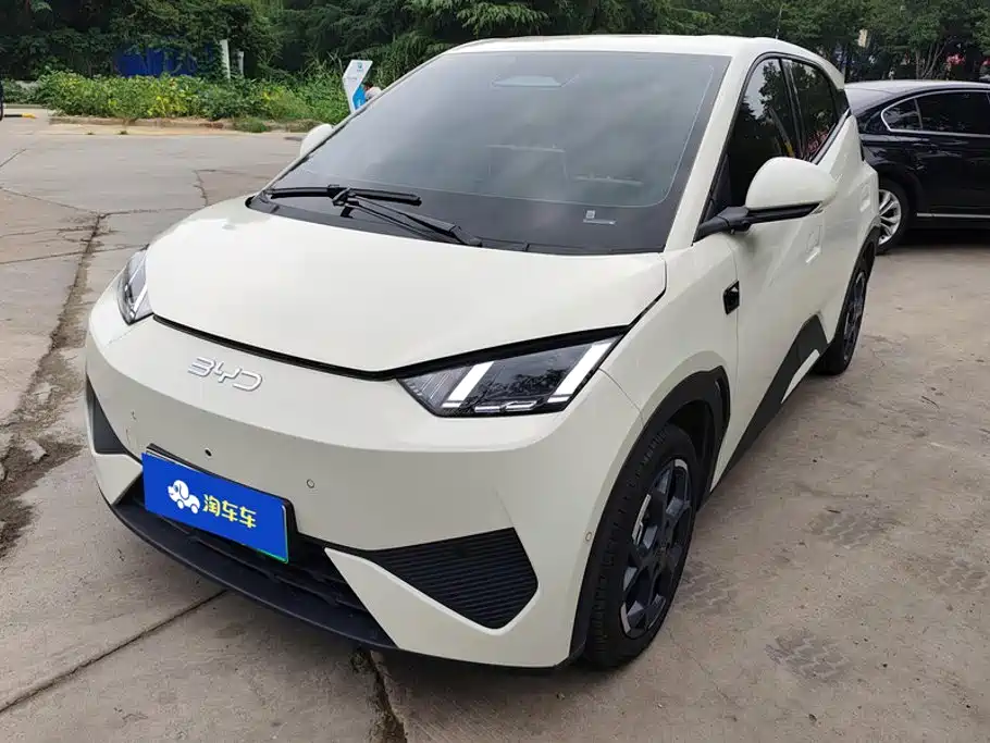 BYD Seagull