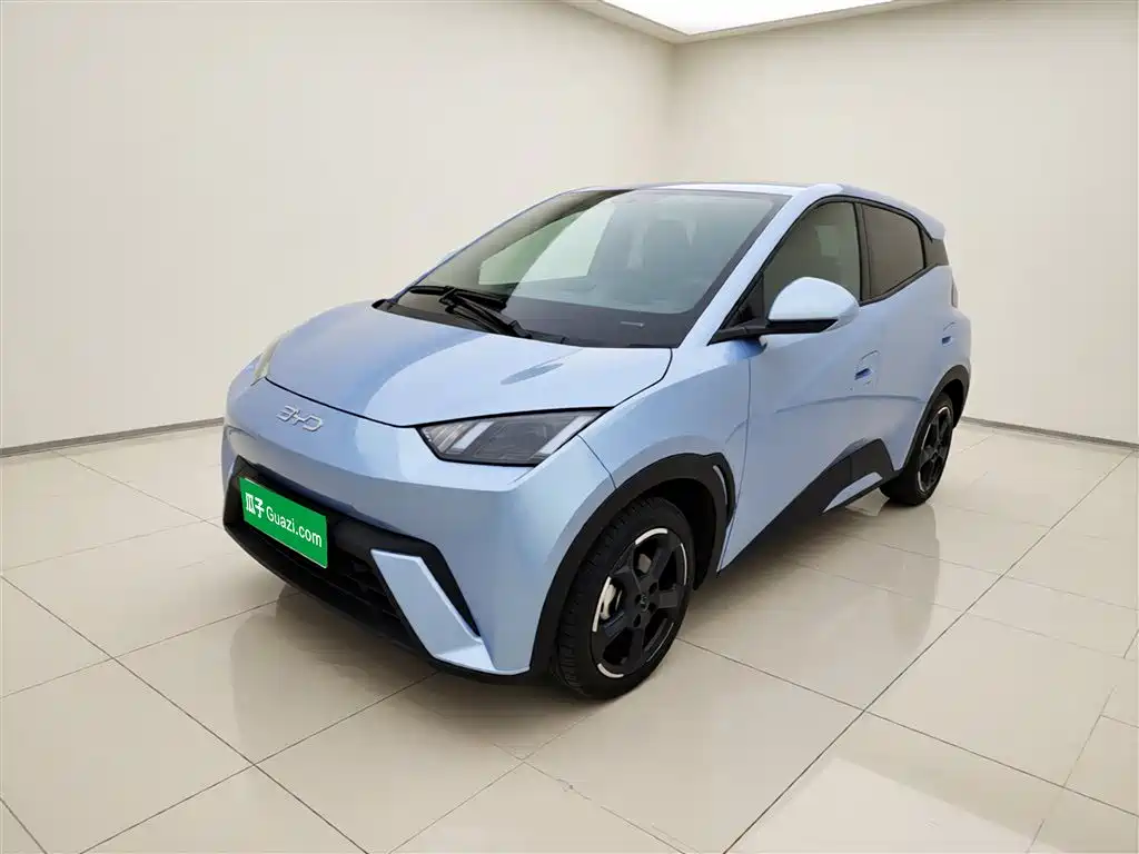 Byd Seagull 2024