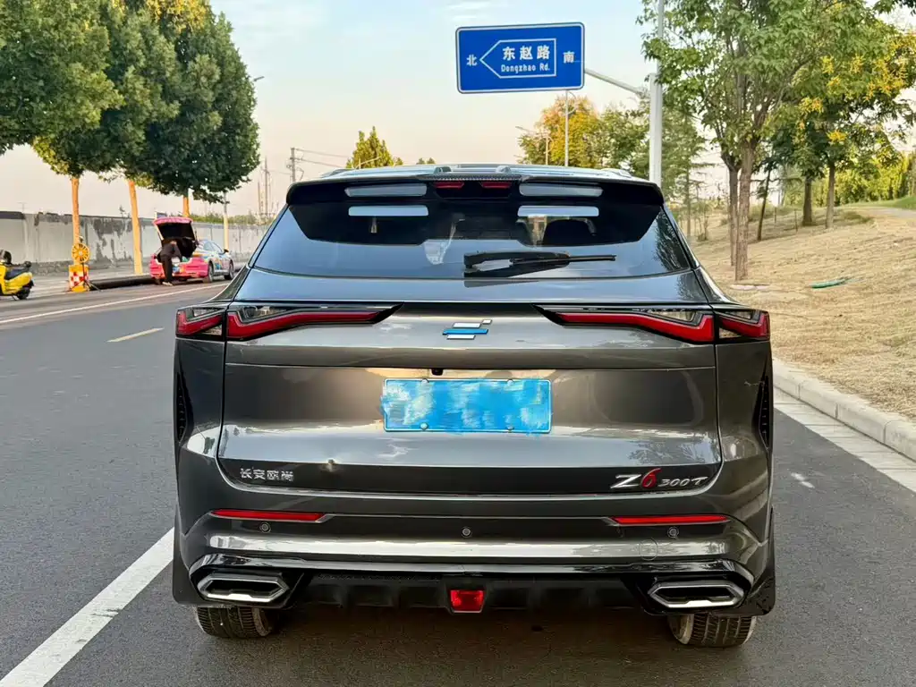 Oshan Oushang Z6 — миниатюра 8