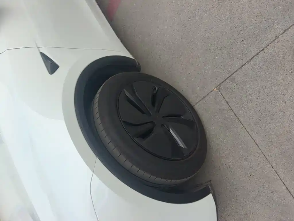 Tesla Model Y — миниатюра 23