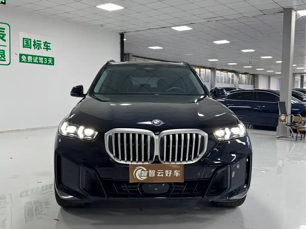 BMW X5 — миниатюра 2