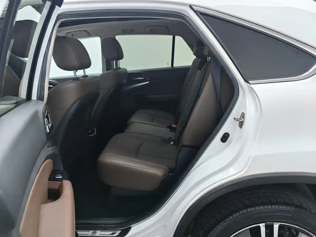 BYD Tang New Energy — миниатюра 15