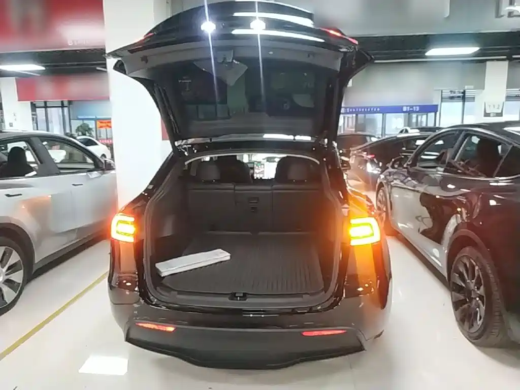 Tesla Model Y — миниатюра 19