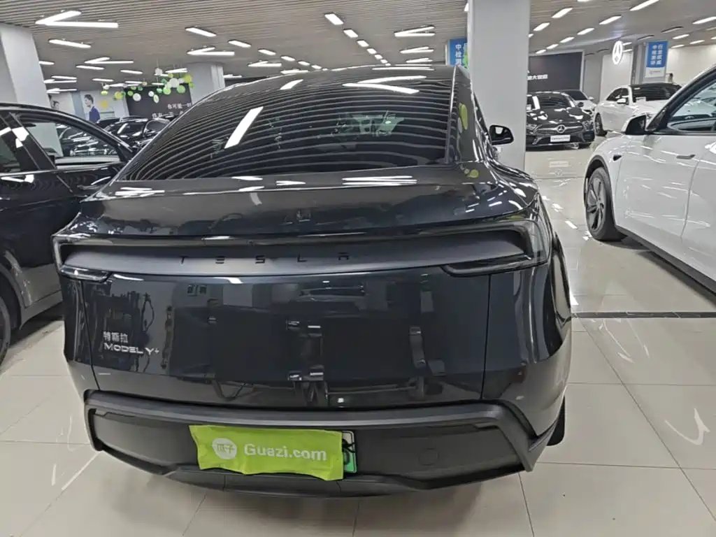 Tesla Model Y — миниатюра 6